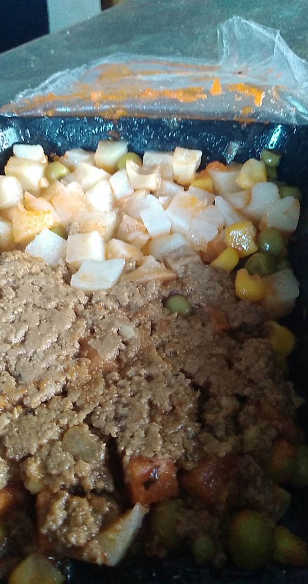 School Lunch in Taranaki Friday 16 June 2023. Just when you thought it couldn't get any worse, Compass Group make a last-ditch attempt to win the "Horrible Lunch Awards". I have no words and I need to rinse my mouth... 🤮🤮🤮