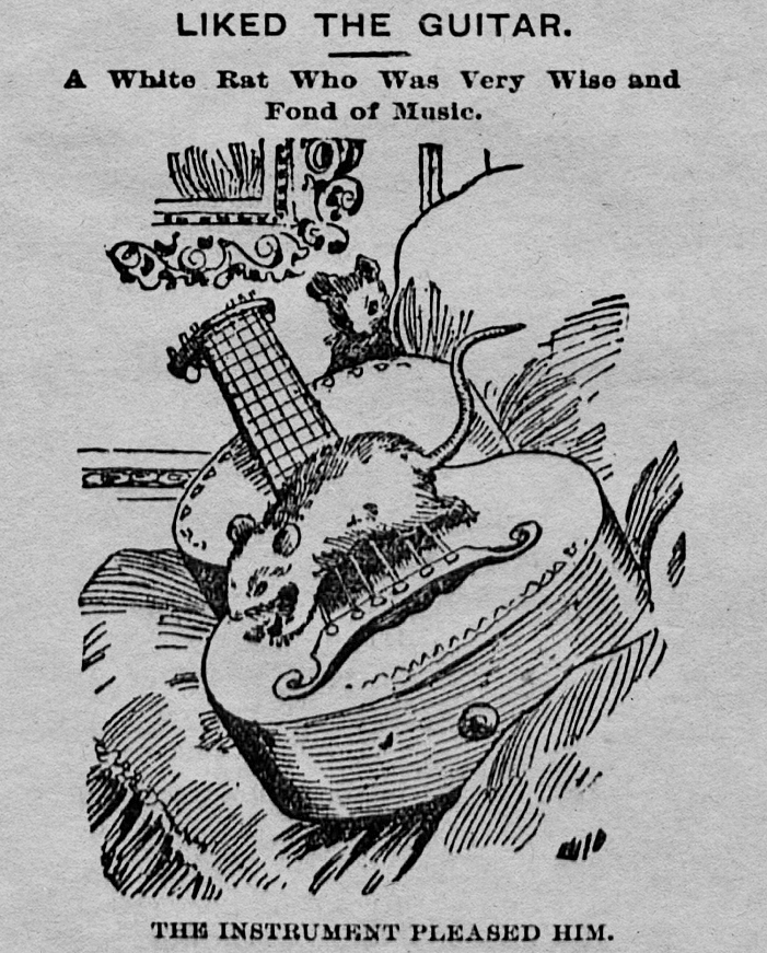 yesterdaysprint's tweet photo. Perrysburg Journal, Ohio, June 9, 1894 https://t.co/pxDpyEgKjN