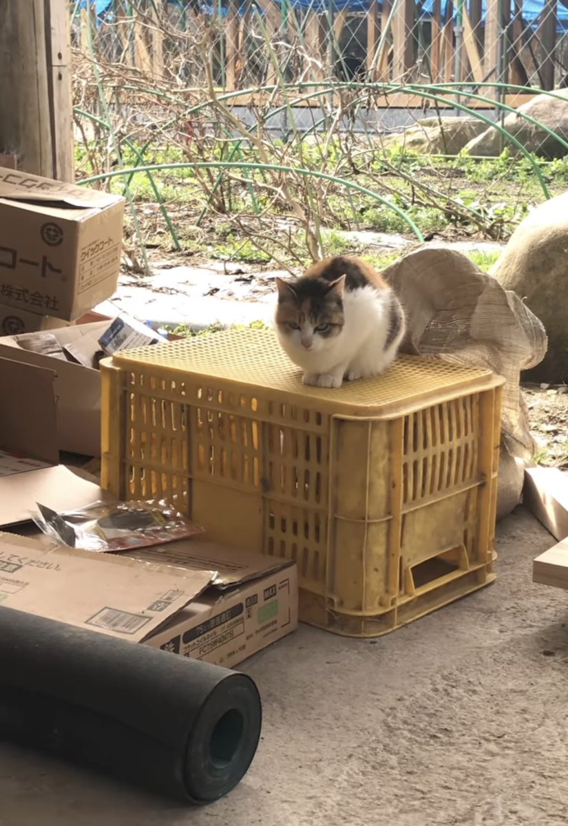 兄の動画より…
工事現場の現場監督（笑） https://t.co/etohxxTXNT