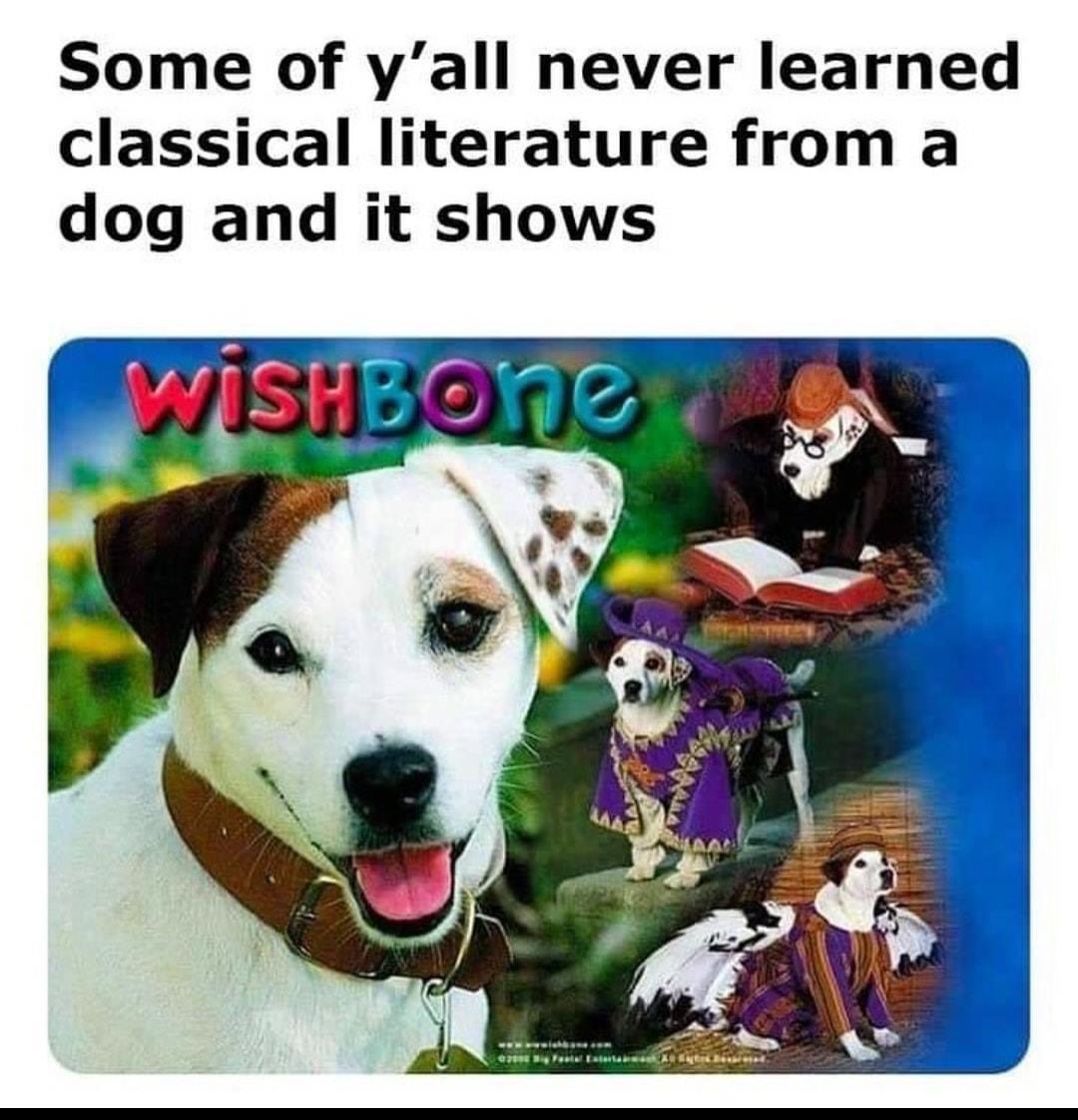 WholesomeMemes tweet media