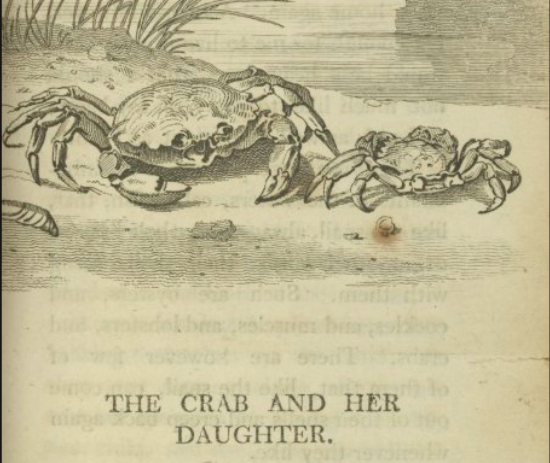 Kristof Smeyers tweet media