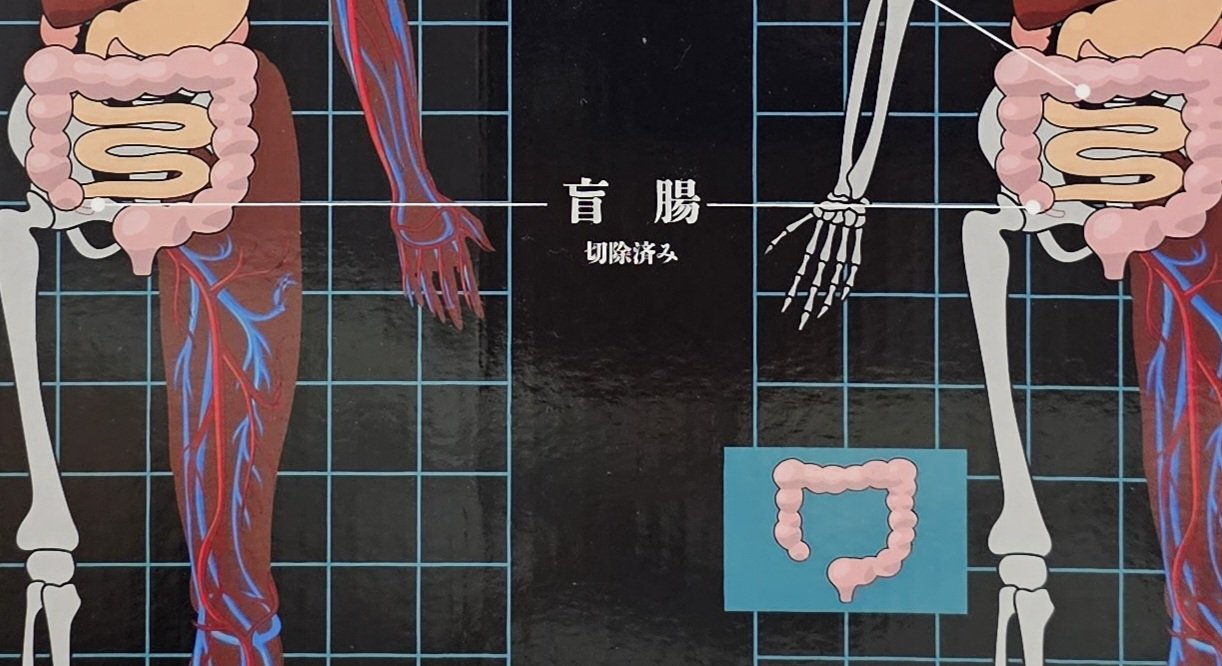 ∠氷星 葵 on X: ∠氷星 葵 on X: