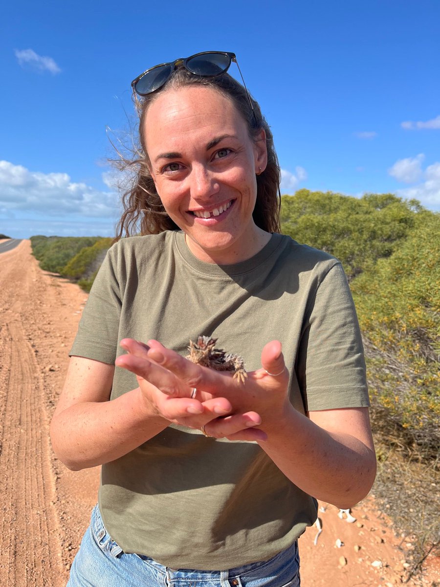 HUGE Congratulations to newly minted Dr @PernilleMS 🍾 We are so proud of all the amazing work you have done with the world’s bestest boys 🐬🐬🐬 and so grateful for your endless dedication and enthusiasm for the Shark Bay dolphins. We salute you Dr Sørensen!