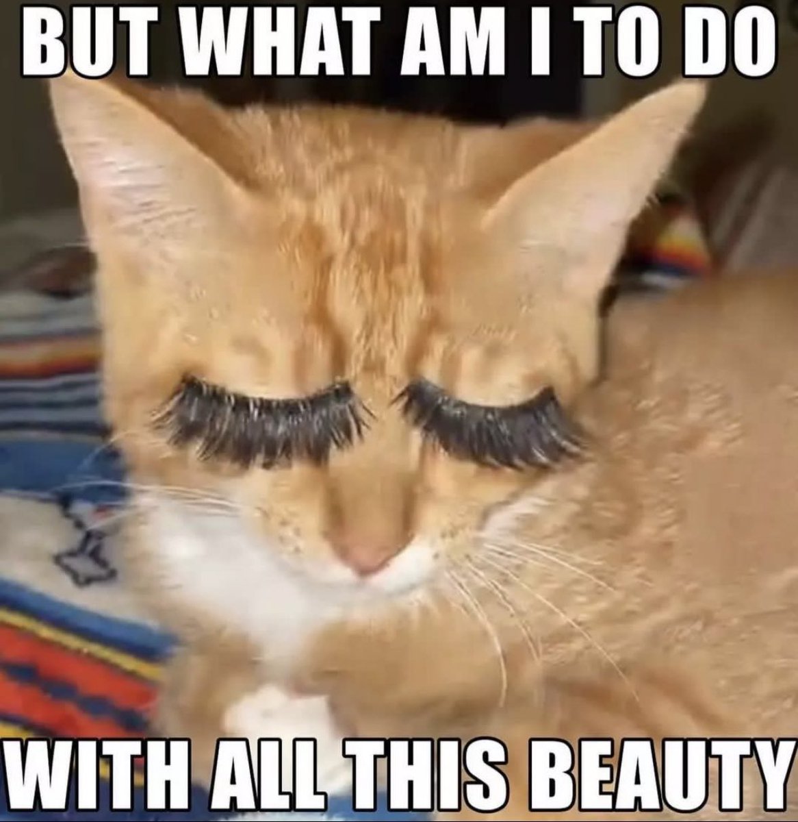 Smuldunde (@smuldundereal) on Twitter photo 