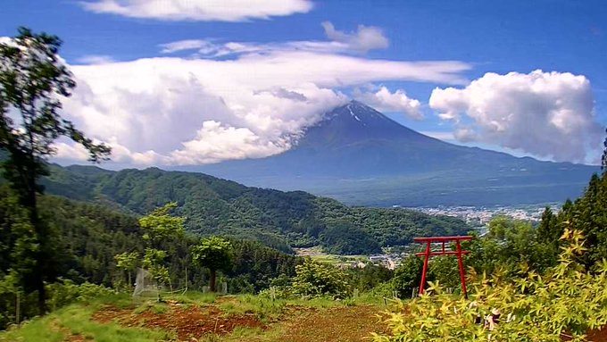 ブランド 新品 【最強映え】花旅楽団 日本風景 富士山 猪 ウサギ