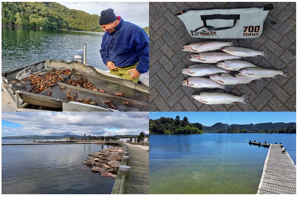 Fully-funded PhD position <a href="/waikato/">The University of Waikato 🎓</a> researching artificial reefs to enhance kōura (crayfish) populations in the beautiful Rotorua Te Arawa Lakes, #NewZealand. This is part of @Cawthron_NZAin Fish Futures project. <a href="/CrayfishIAA/">International Association of Astacology</a> <a href="/CrustaceanSoci/">The Crustacean Society</a> 
waikato.ac.nz/research/phd-o…