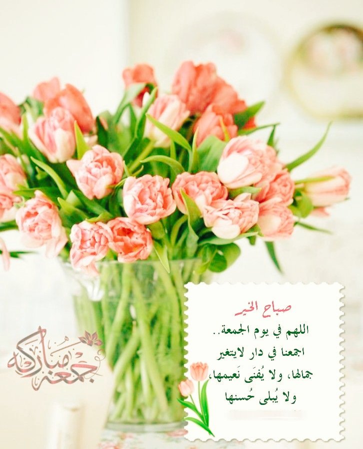 mashaeil11123's tweet photo. https://t.co/v5BphMDPfm