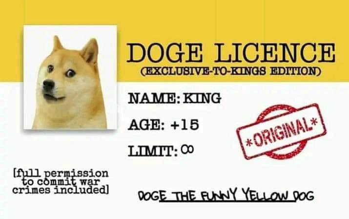 rileyxking's tweet photo. My ID https://t.co/dzOlKoyHYS