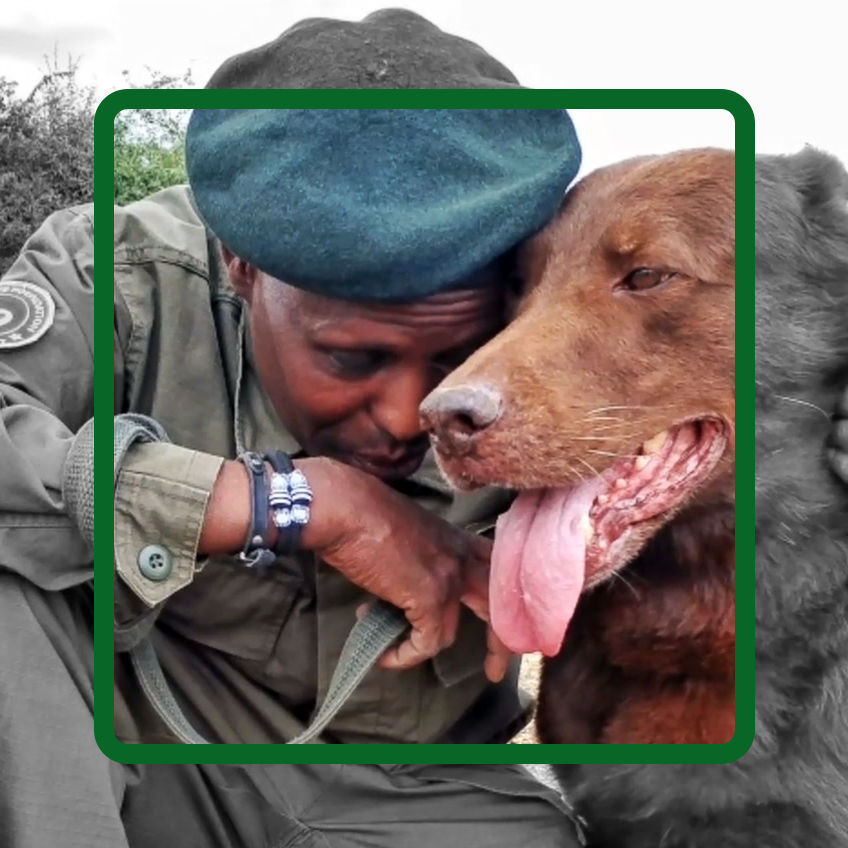 The Thin Green Line Foundation tweet media