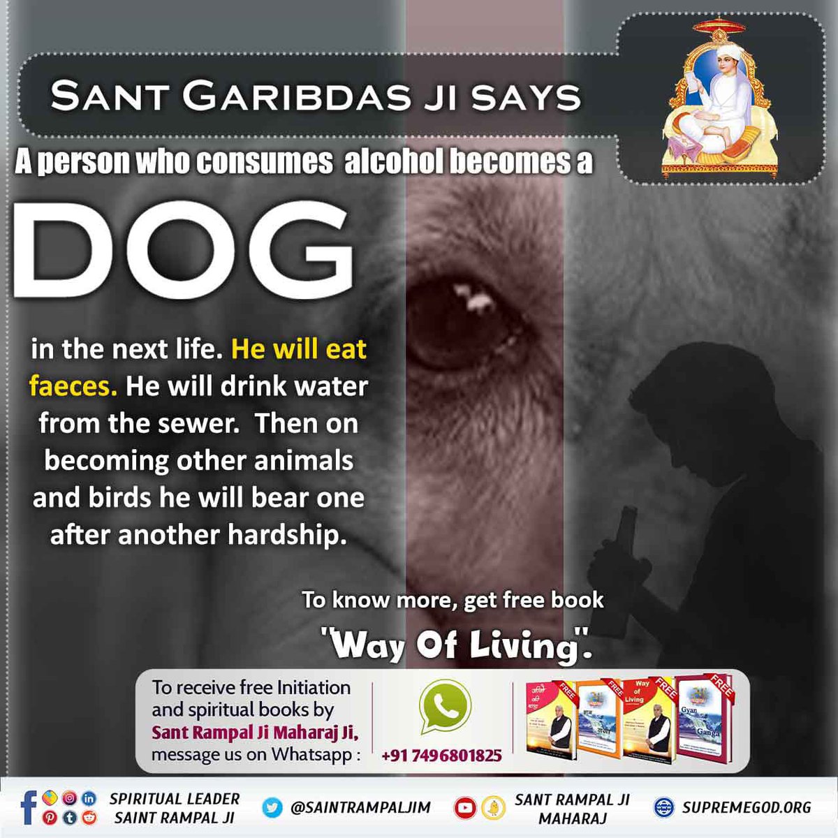 #नशाले_गर्छ_नाश 
#GodMorningFriday 
Addiction leads to destruction
 Lord Kabir Sahab says in his immortal words: Drinking alcohol will be punished by becoming a dog for 70 births.  So leave such bad things today.

Stop Intoxication