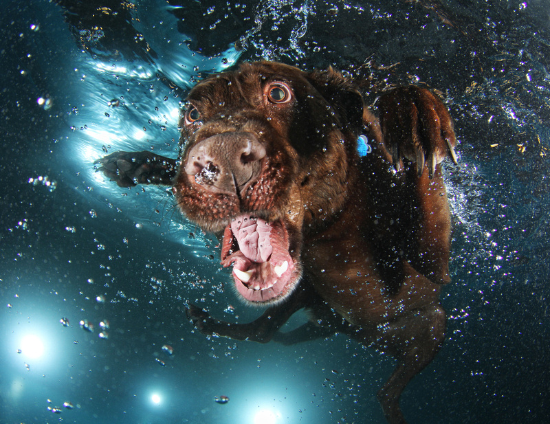 Time's almost up!
conta.cc/43AzZfc
conta.cc/42LppAK