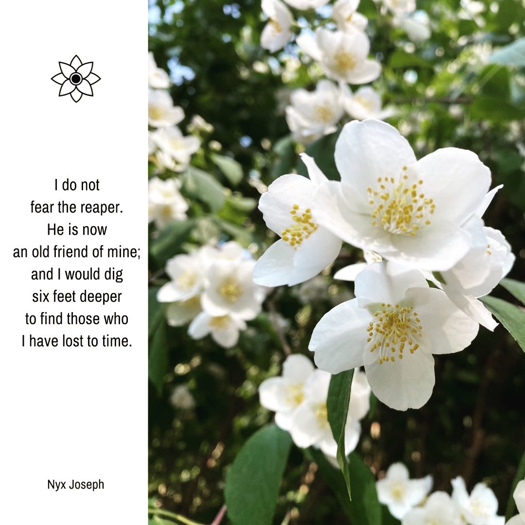 NYX0NLIN3's tweet photo. Forcing myself to share my poetry &amp; amateur photography more 🦋💐💛 https://t.co/IYtx27oAWJ