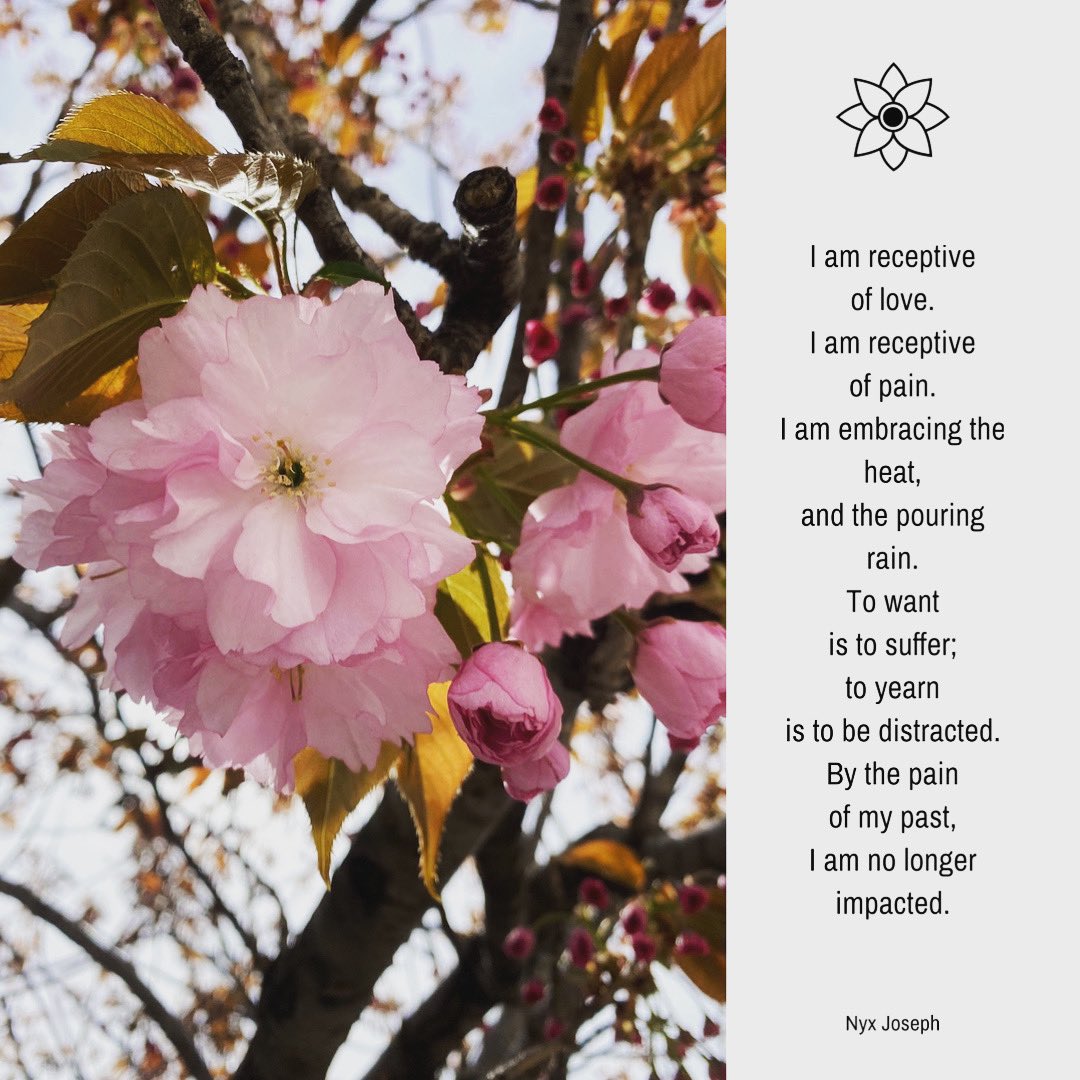 NYX0NLIN3's tweet photo. Forcing myself to share my poetry &amp; amateur photography more 🦋💐💛 https://t.co/IYtx27oAWJ