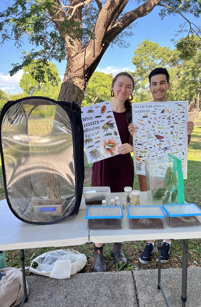 Nick Volpe tweet media