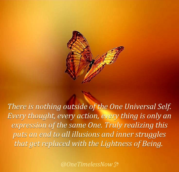 There is nothing outside of the One Universal Self. Every thought, every action, every thing is only an expression of the same One. Truly realizing this puts an end to all illusions and inner struggles that get replaced with the Lightness of Being.