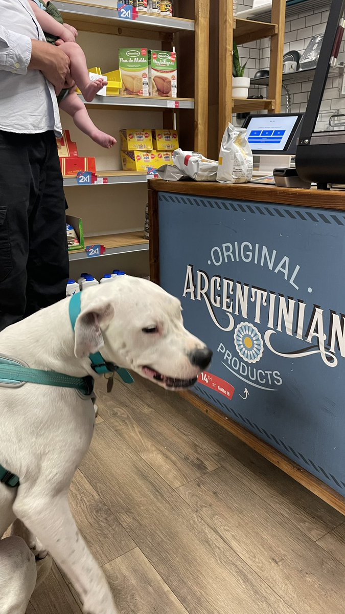 Gracias pequeño local Argentino que te pasaste por mi camino. Desde que me fui de Venezuela no comía esto 🥹🥹🥹. Obvio aproveche de comprarme varios tipos de alfajores, empanadas y otras chucherías. Obviamente Bianca mi Doga aprovecho de saludar.