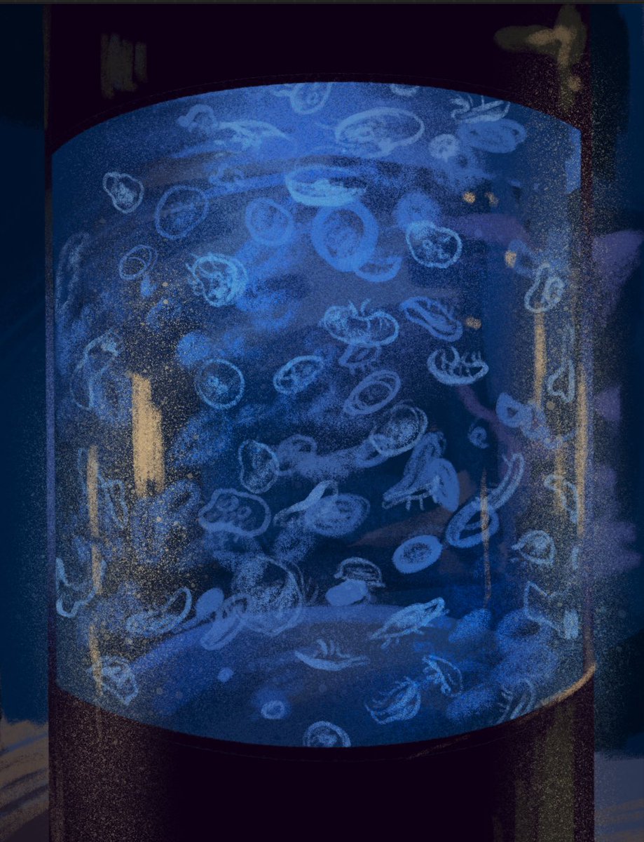 quick jellyfish cylinder study from today