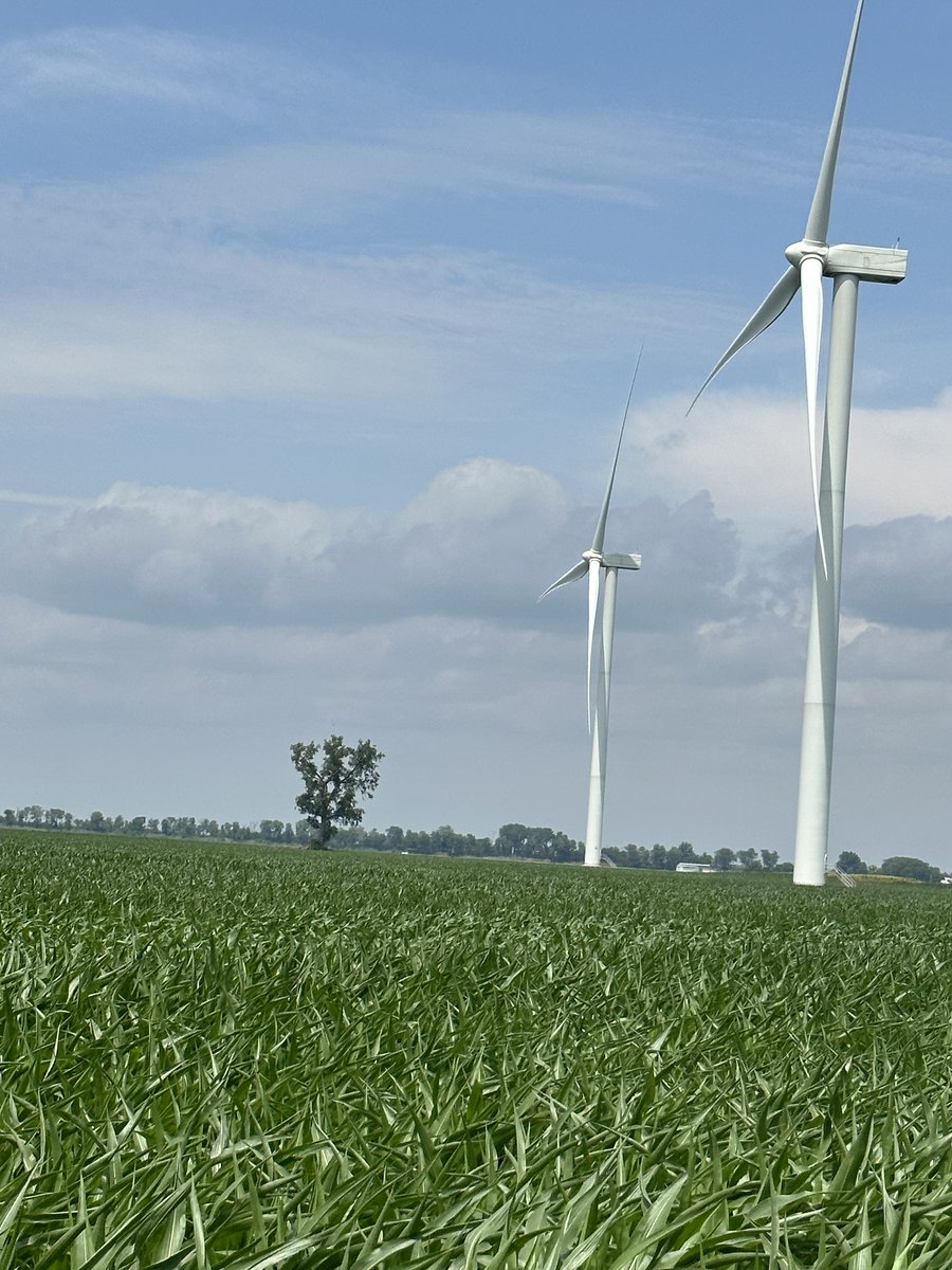 Today's photo of the day is brought to you by DS! Here at Green River, we have green corn, blue skies, and big turbines! 

#GeminiEnergyServices #Gemini #WindTurbineTechnician #WindTechnician #Turbines #Turbine #WindEnergy #GreenEnergy #NowHiring #PhotoOfTheDay #Illinois