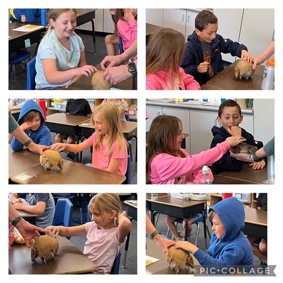 Science Alive came last week. It was a lot of fun seeing all of the different animals.