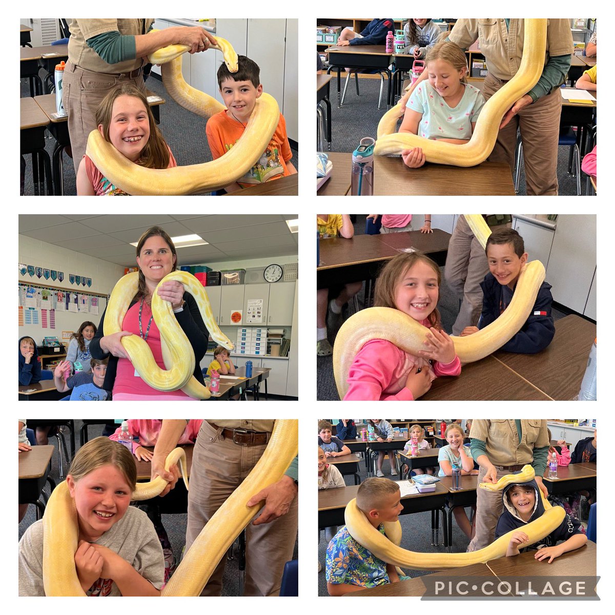 The snake was a big hit!  The kids loved holding him.