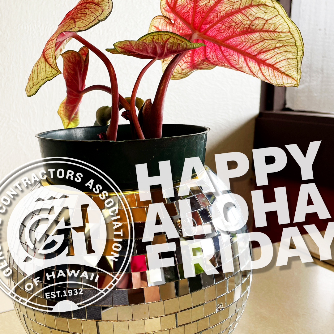 🌿 Happy Aloha Friday! 🌿
Have a great weekend! 🦺🚧🏗
-
📷: Centerpiece from the 2023 GCA Safety Awards!
-
#alohafriday #happyalohafriday #weekend #gca #generalcontractorsassociation #qualitypeoplequalityprojects #qualitypeople #qualityprojects #construction #hawaiiconstruction