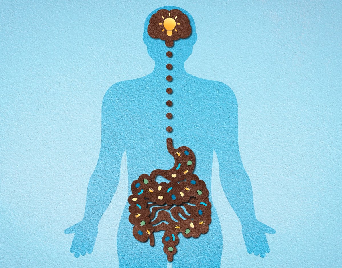 Gut microbiota holds clues to predicting Alzheimer's risk news-medical.net/news/20230615/… #gutmicrobiome #Alzheimers #preclinicalAD #ADpathology #ADriskmarkers #neurodegeneration #biomarkers #gutbrainconnection #etiology @ScienceTM