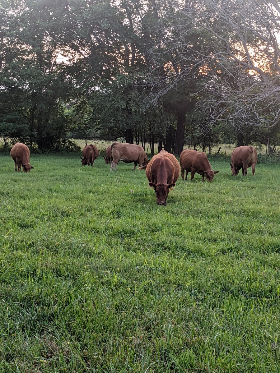 Harold Bertz tweet media