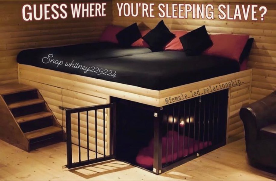 Goddess Casey Sissy paley on Twitter "Guess where you’re sleeping