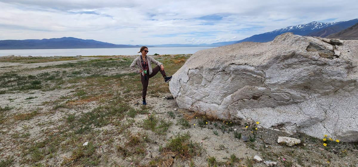 Michaela J Dobson tweet media