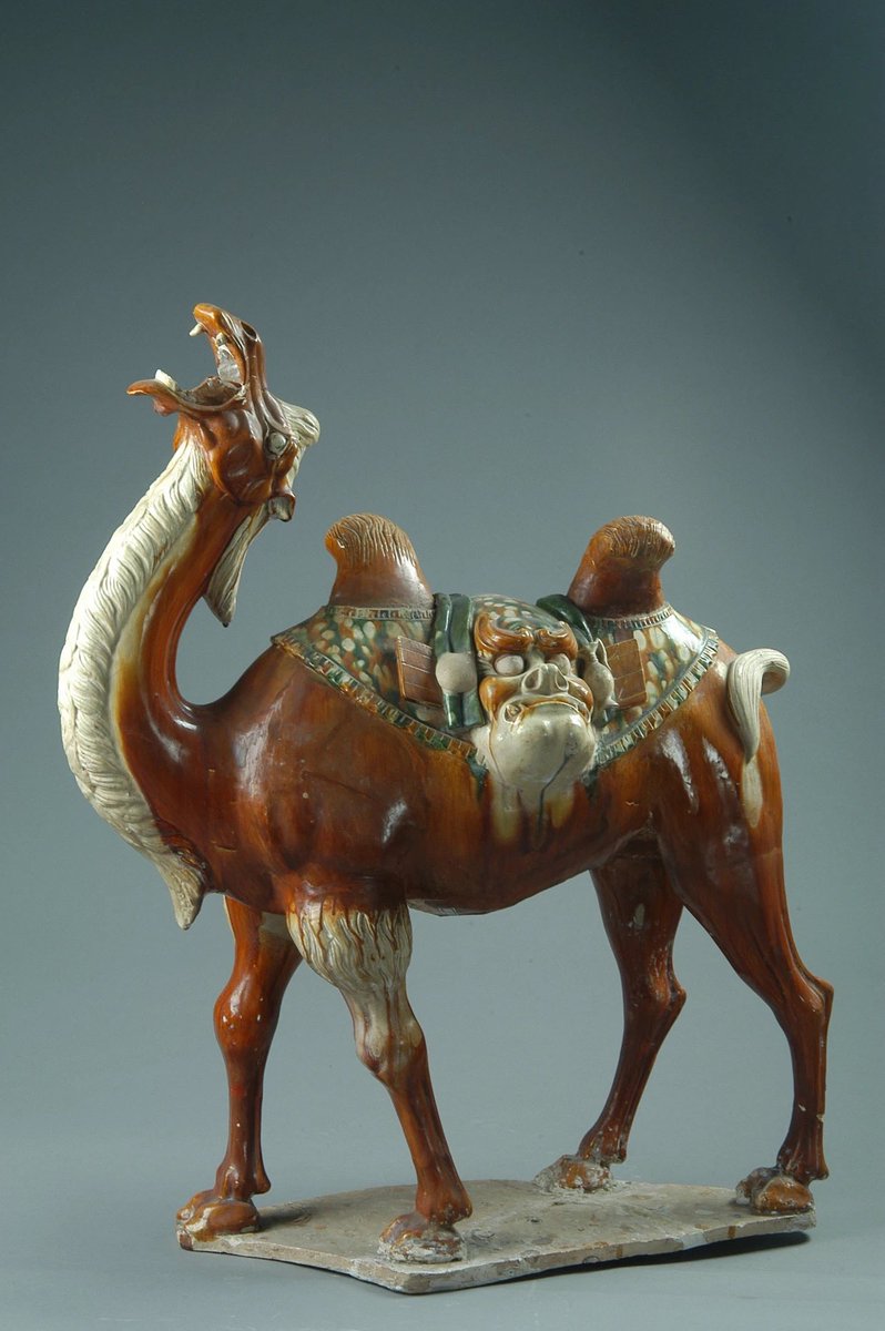 A camel sculpture made from Tang Sancai ceramics dates back more than a thousand years. (Luoyang Museum)🐪🎨 #TangSancai #AncientArt #CulturalTreasure