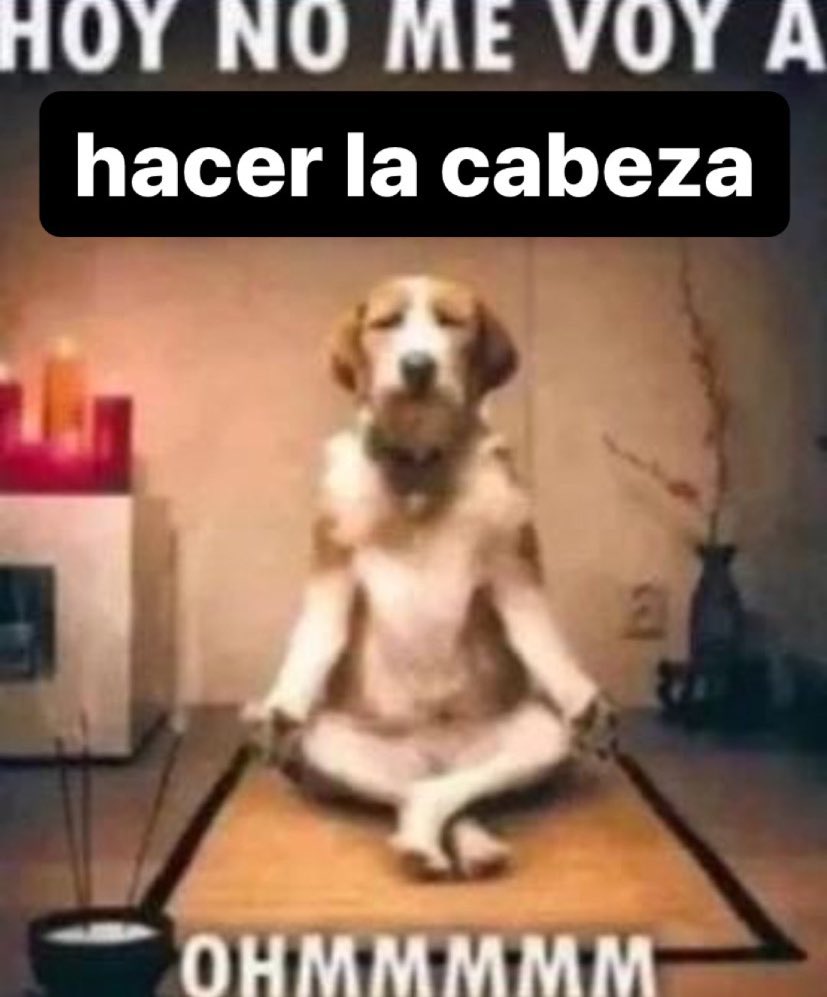 venusenleo08's tweet photo. m canse de ponerme triste x situaciones que no puedo controlar a partir de ahora soy este https://t.co/A9nFQ0xgik