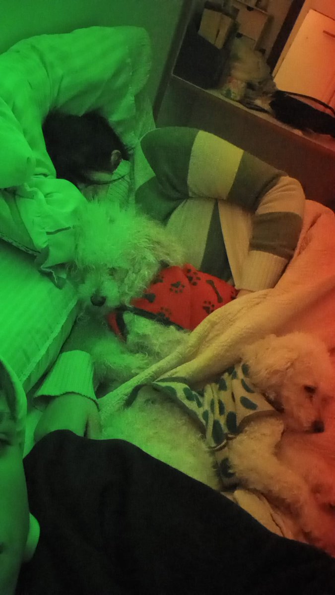 La gorda loca de los perros