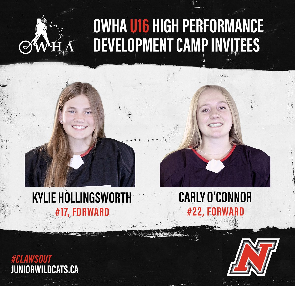 NepJrWildcats's tweet photo. Congratulations and best of luck to our rookies on being invited to the @owhahockey U16 High Performance Development Camp! https://t.co/QpY2j7tPlv