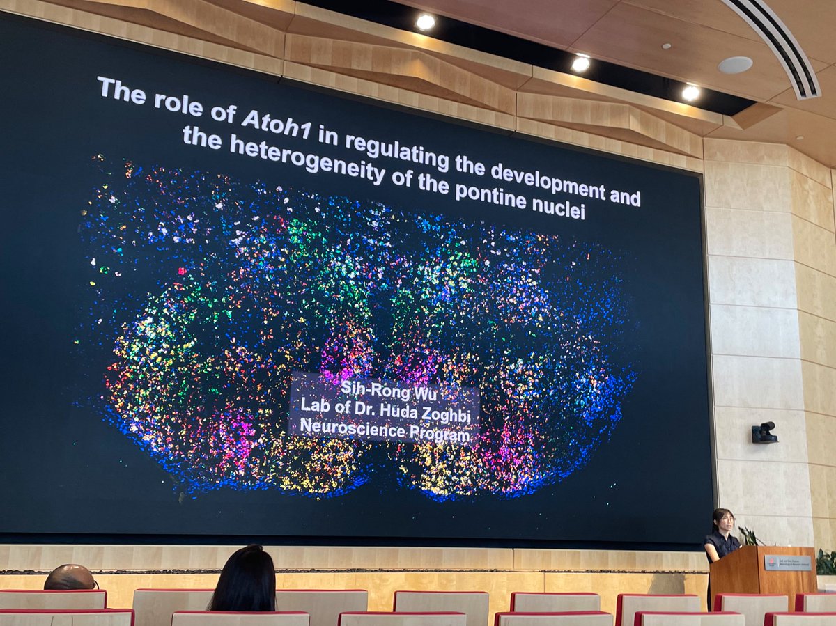 dchloechung's tweet photo. Congratulations Sih-Rong for such a phenomenal defense talk 🧠❤️ #ZoghbiLab now proudly presents Dr. Wu!! 🥳🥳 @SihRong_Wu @bcm_neurosci @BCMFromtheLabs https://t.co/eFaau1o1bP