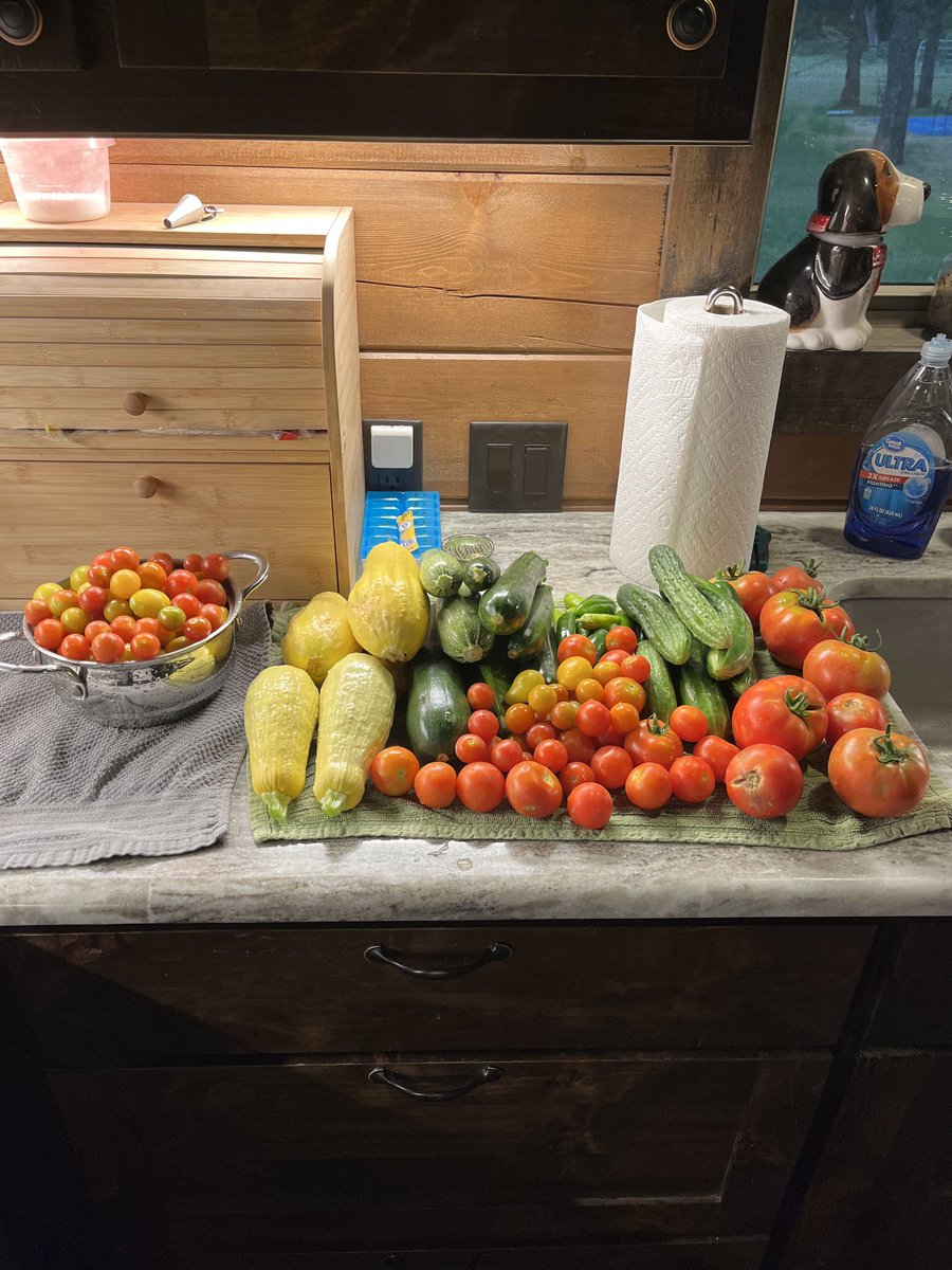 ComiskeyDaniel's tweet photo. Recent harvests from Dan’s garden!  😀 https://t.co/7DO2kUb7fL