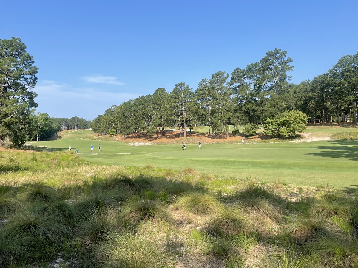 I can guarantee you there will be no 62 coming in here this time next year
What a brutal brutal test of golf for all levels
Narrow fairways
Waste areas full of sawgrass clumps everywhere
And the greens, well fuck me they were unbelievable
Running at 13 today
Pinehurst #2
