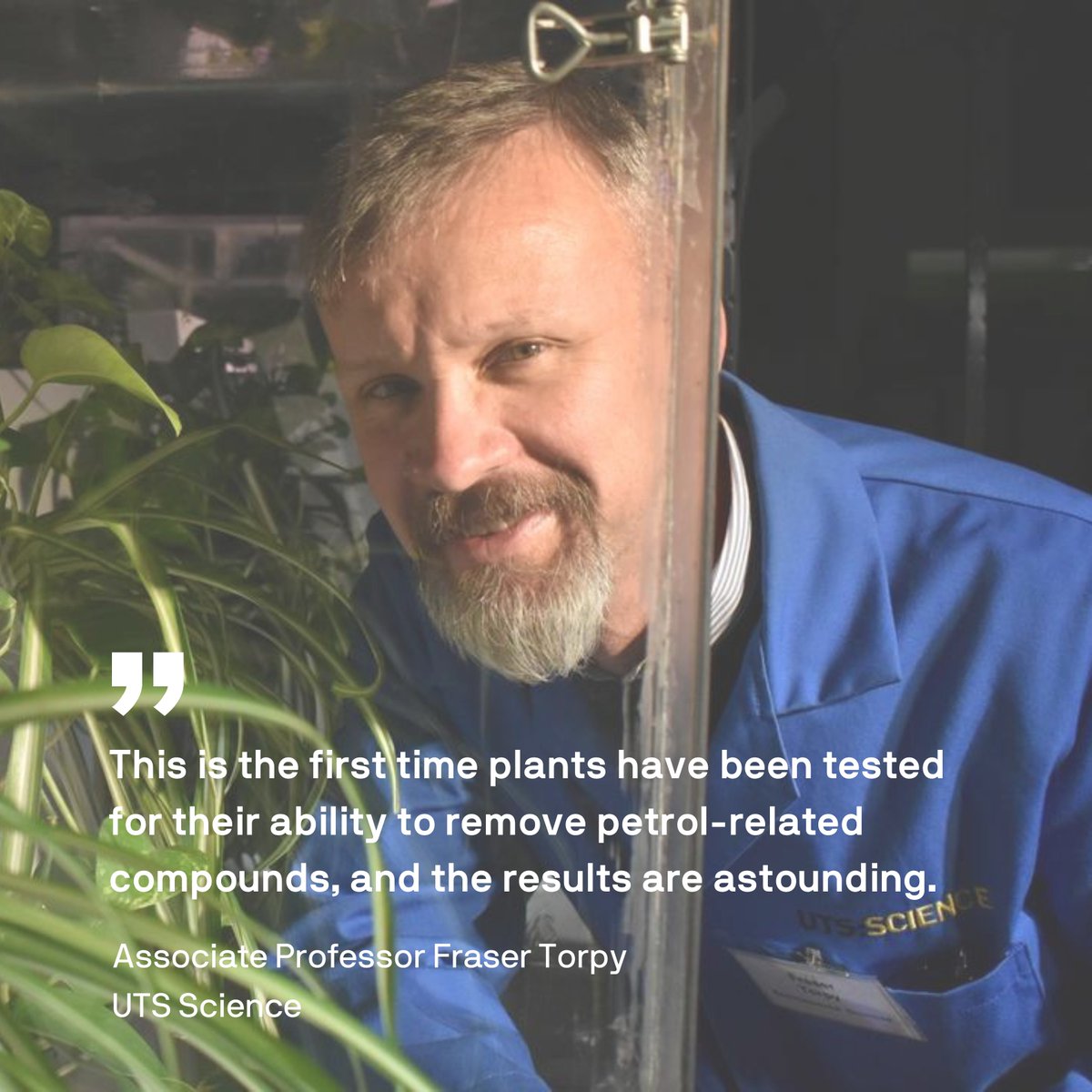 🌱 A ground-breaking study, led by Associate Professor Fraser Torpy from UTS Science, has revealed that plants can efficiently remove toxic petrol fumes, including causing compounds such as benzene, from indoor air. Read more: uts.edu.au/about/faculty-… @Ambius #science #research