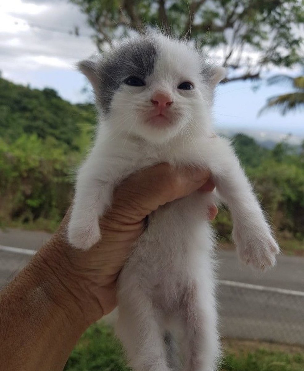 hi s name is. will i. amb