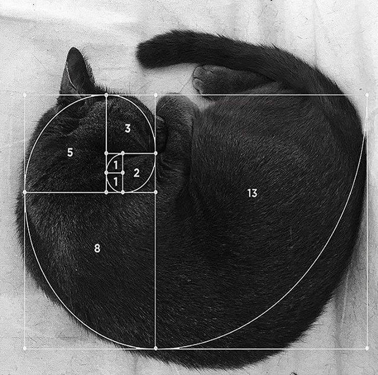 Golden ratio.