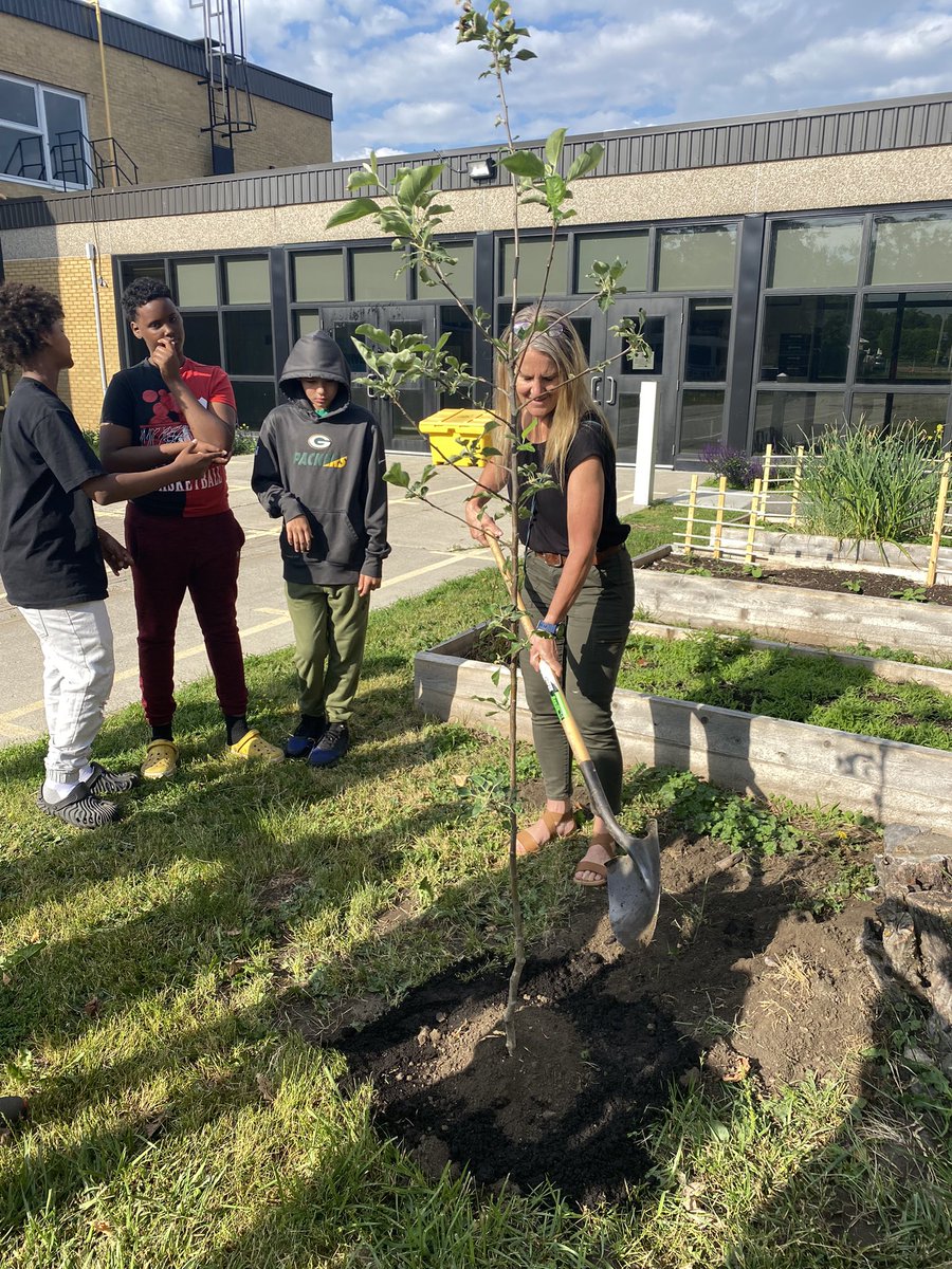 HawthornePS's tweet photo. Thank you grade 7B for gifting and planting  our new apple tree! Strong roots = great fruits! Amazing humans right here folks! @RegLavergne @OCDSB https://t.co/VOwDv8ZAwU