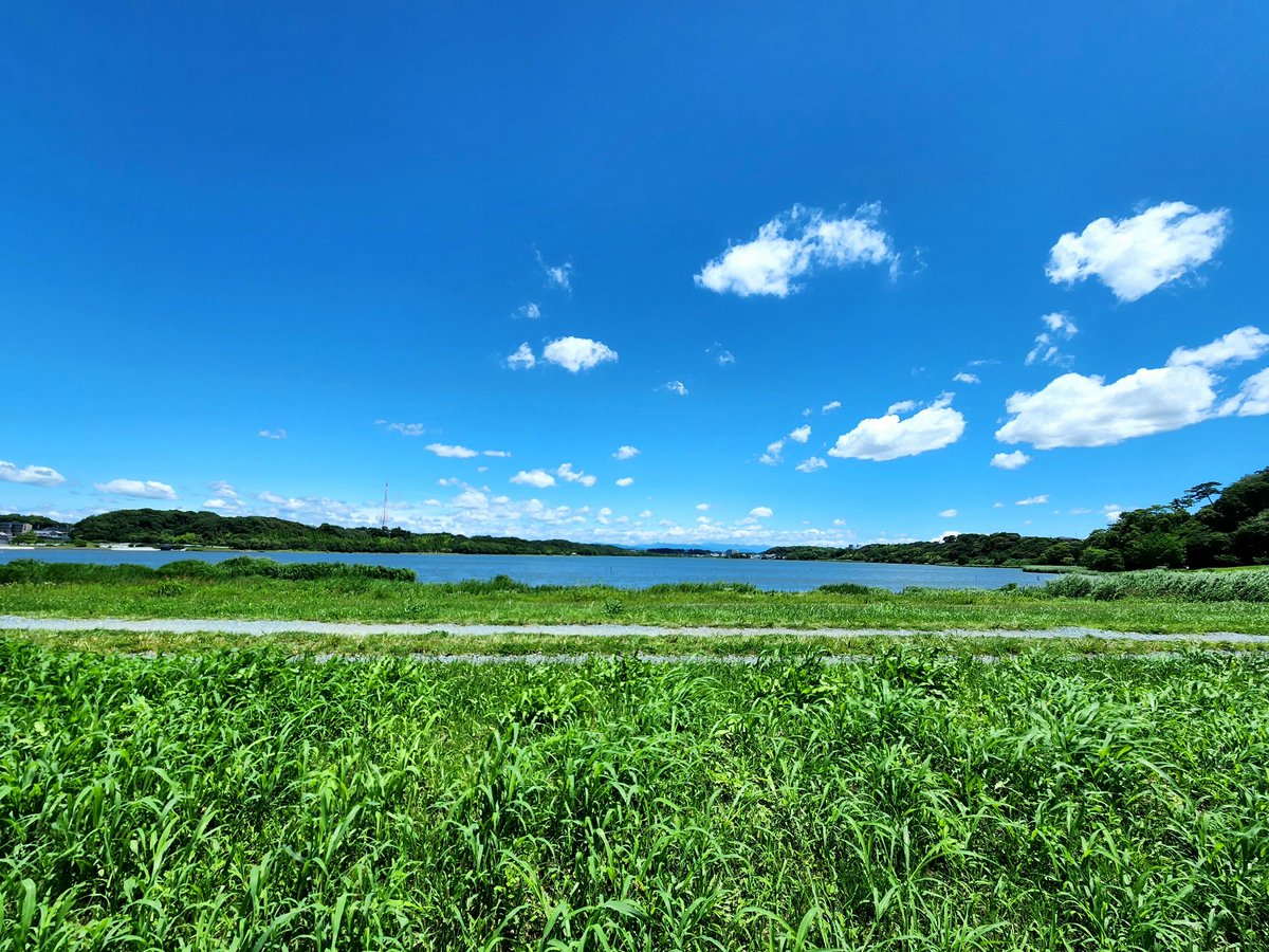 Zorexoserez's tweet photo. #Hamamatsu
#walking
#LakeSanaru
#freshgreen
Hamamatsu is a lovely day today.
浜松は今日もいい天気😃
午後もご機嫌よろしゅうに🙂
#浜松
#浜松散歩
#ウォーキング
#佐鳴湖
#slowjogging
#intervalrunning https://t.co/A3BHn6aomn