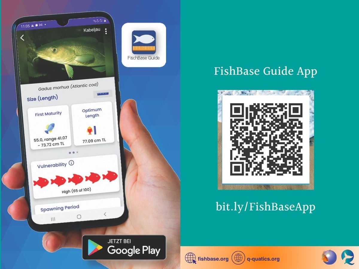 FishBaseProject's tweet image. FishBase Guide App –your gateway to the vast knowledge of FishBase.org. Download free via @GooglePlay: bit.ly/FishBaseApp.