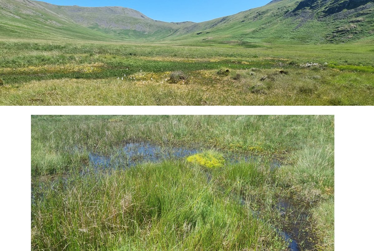 Dynamic Rivers tweet media