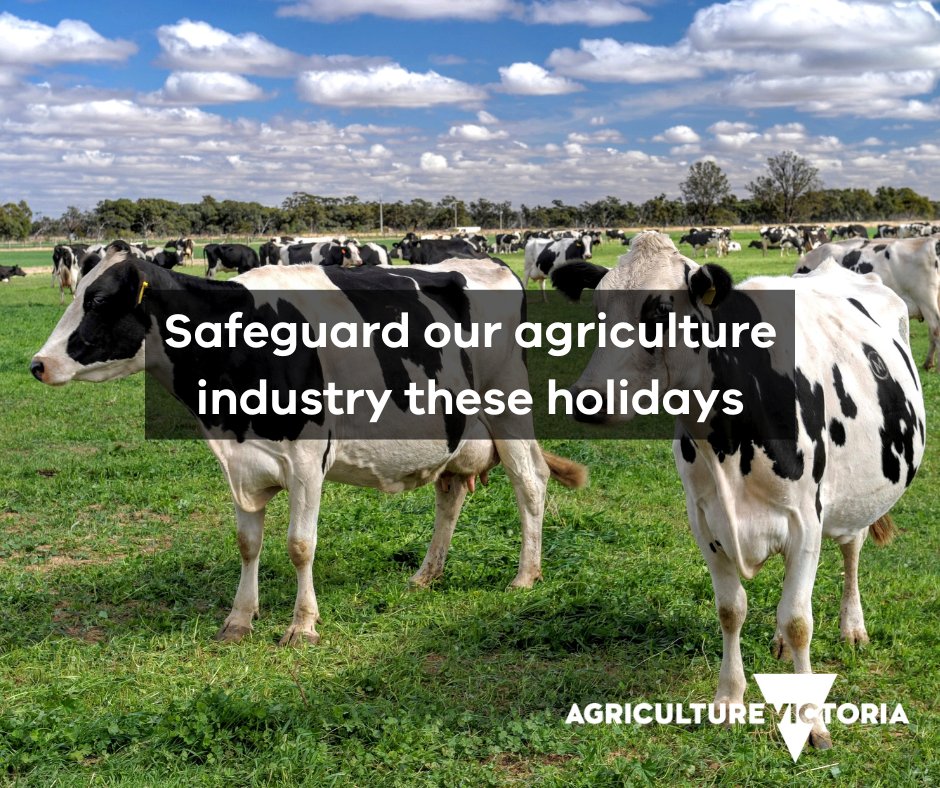 If you’re spending a lot of time on farms these school holidays – or travelling to multiple – our Come Clean, Stay Clean, Go Clean learning module has great tips to help build your #biosecurity awareness.

Learn more via our website: go.vic.gov.au/3ox9F6x .