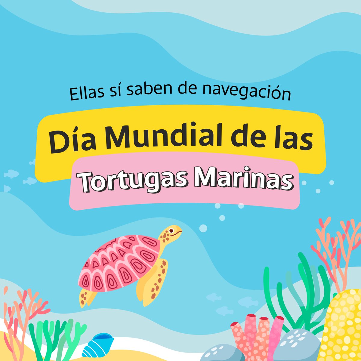Banistmo's tweet image. En honor al #DíaMundialDeLaTortugaMarina, reflexionemos sobre la sabiduría milenaria de estas increíbles criaturas.
Las tortugas marinas no tienen mapas, ni GPS, ni se guían por las estrellas, pero le dan la vuelta al mundo y siempre saben dónde está su hogar.
❤ para ellas