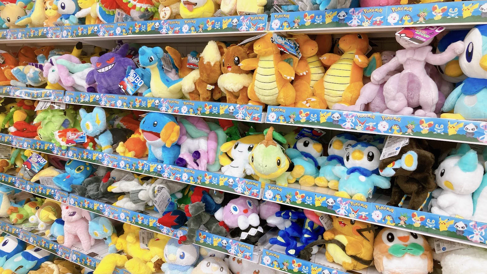 アニメイト池袋本店 on X: 
