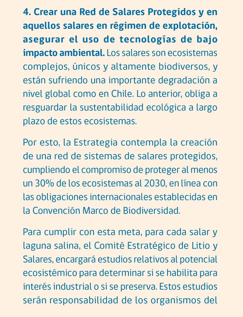 Cristina Dorador Ortiz 🦩 tweet media