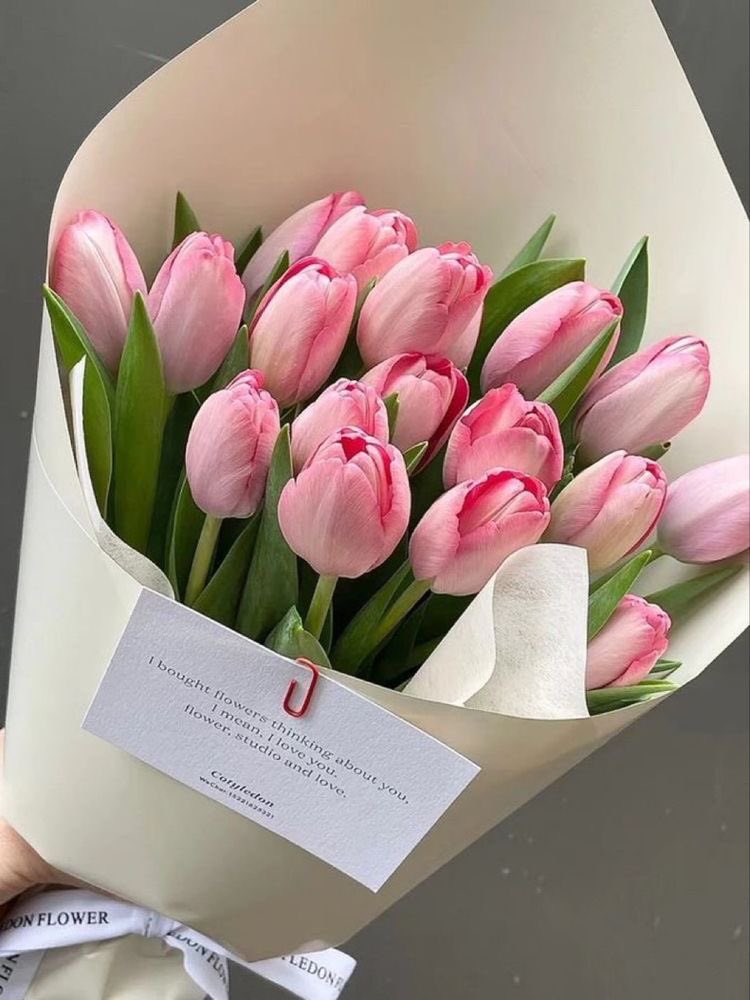 300moods's tweet photo. Pink tulip bouquet 🌷 https://t.co/ygyJBS1Fz1