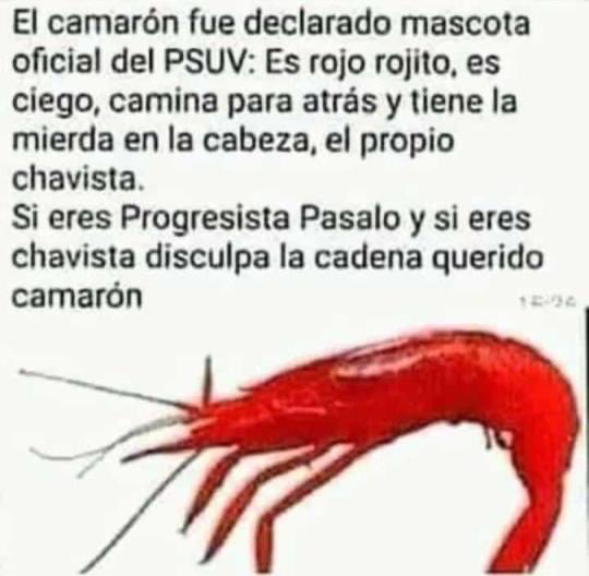 EAristeguieta's tweet photo. https://t.co/dkSekqOQax
