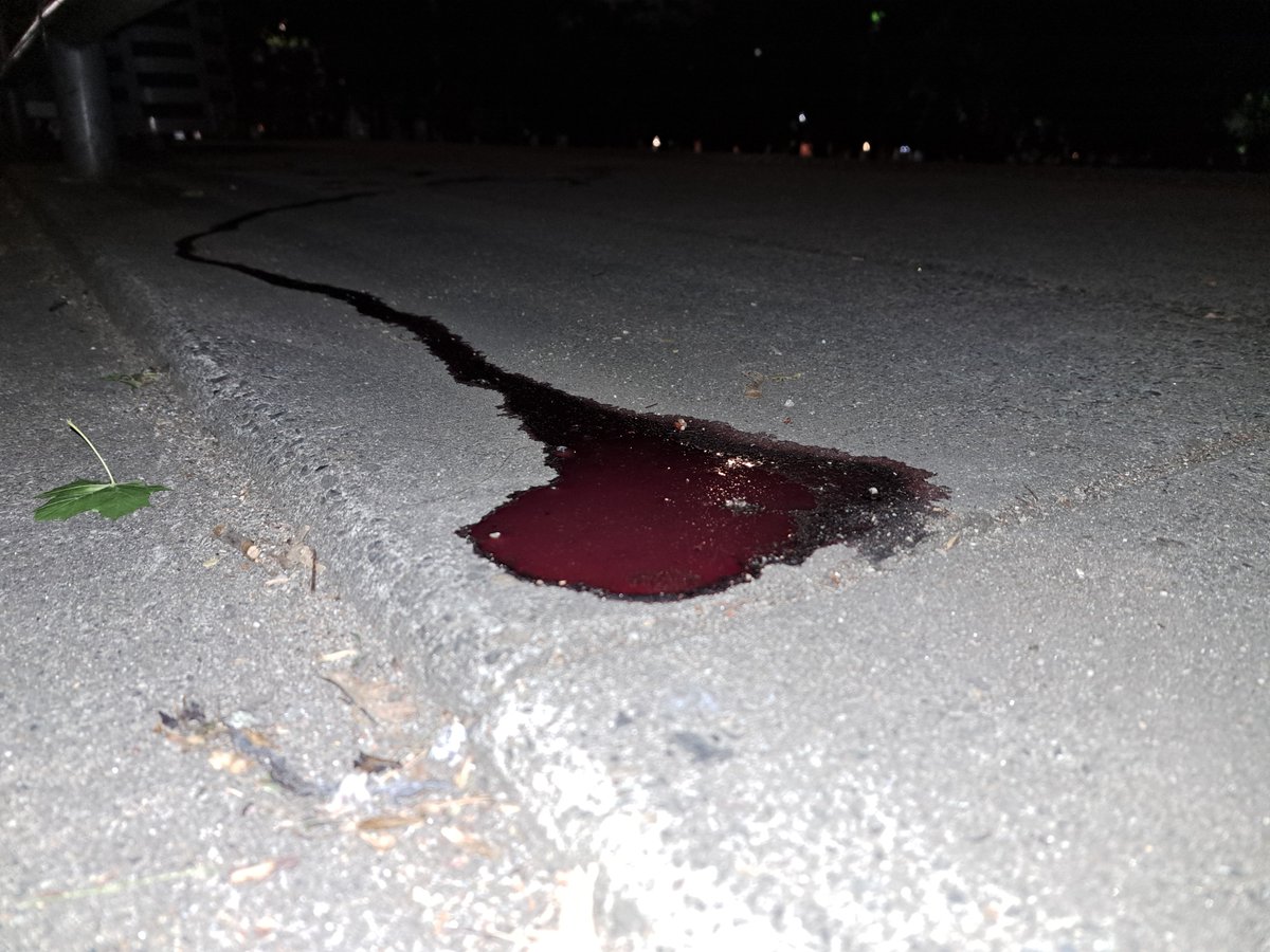 This Morning In #Portland *2AM* I spotted a tremendous amount of blood at a Pearl District Streetcar stop next to Tanner Springs Park.

Nobody was in the vicinity at the time, though the blood looked pretty fresh.